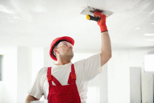 Best Drywall Removal and Disposal  in Conashaugh Lakes, PA